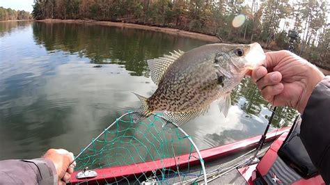 Crappie fishing showing how to catch more – Artofit