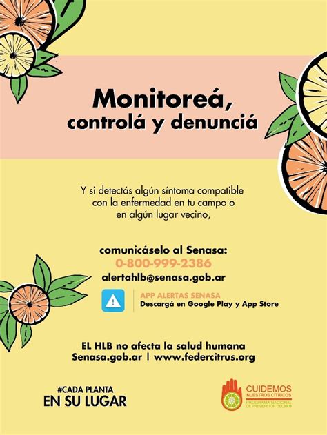 Hlb La Importancia De Prevenir Esta Enfermedad Que No Tiene Cura