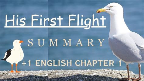 His First Flight Summary Class 11 English Chapter 1 YouTube