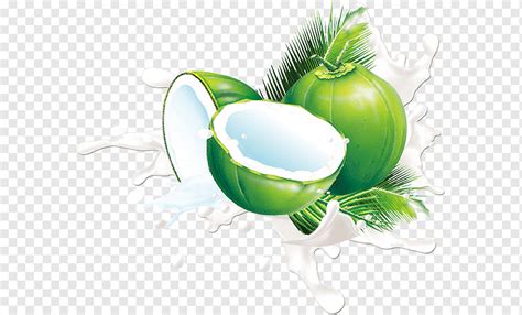 Buko Juice Png | peacecommission.kdsg.gov.ng