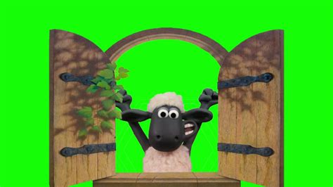 Shaun The Sheep Acting Funny Or In Distress In Green Screen Youtube