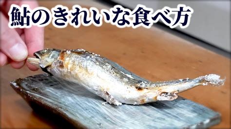 鮎の焼き方・食べ方【きれいに】骨を抜く方法を紹介！串の刺し方など焼くまでの下処理方法も解説 Youtube