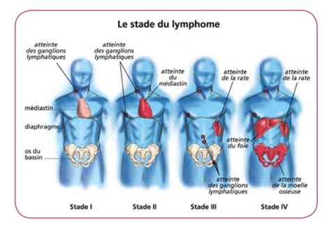 Stades Et Grades Ellye