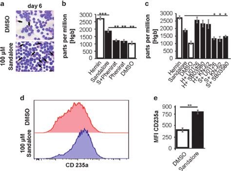 Sandalore Enhances The Hemoglobin Synthesis Of K562 Cells And The Download Scientific Diagram