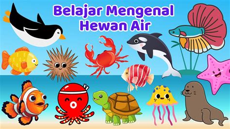 Belajar Mengenal Hewan Hidup Di Air Bahasa Indonesia Bahasa Inggris