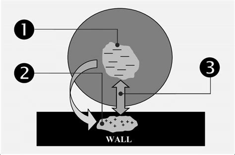 9-Formation of the Electrostatic Force [8] | Download Scientific Diagram