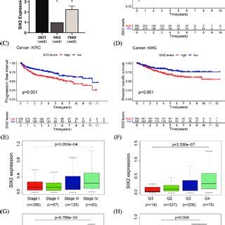 Six Expression Pattern And Its Clinical Significance In Ccrcc A The