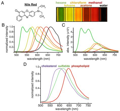 historisch Structureel Onophoudelijk nile red excitation wavelength ...