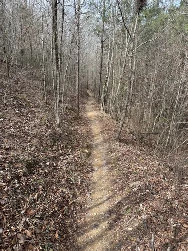 Best Forest Trails In Green Pond AllTrails