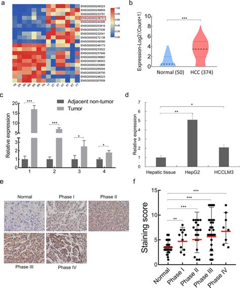 Salis Transcriptionally Represses Igfbp Caspase Mediated Apoptosis