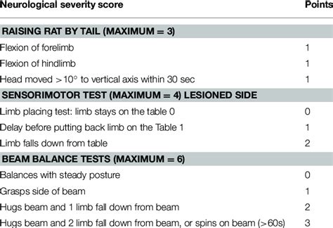 Neurological Severity Score Download Table