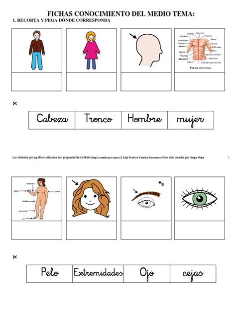 Fichas Conocimiento Del Medio Tema 1 Recorta Y Pega Dónde Corresponda