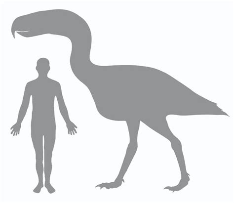 Giant 'terror bird' was light on its feet | New Scientist