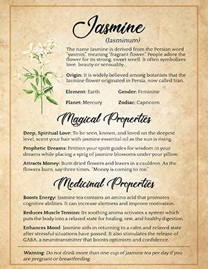 Jasmine Magical Properties Deep Love Prophetic Dreams Spells