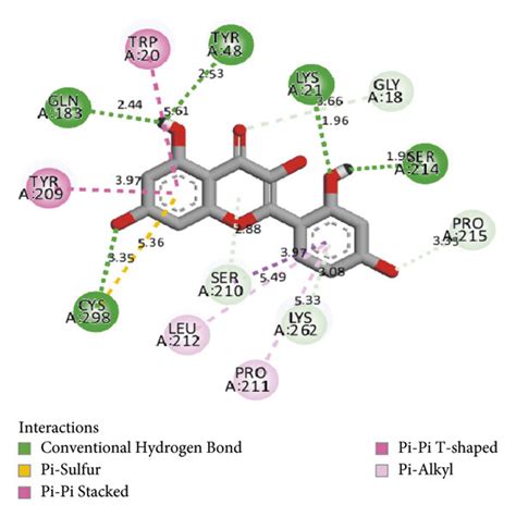 Ad The D And D Interactions Of Epalrestat And Morin With Jir