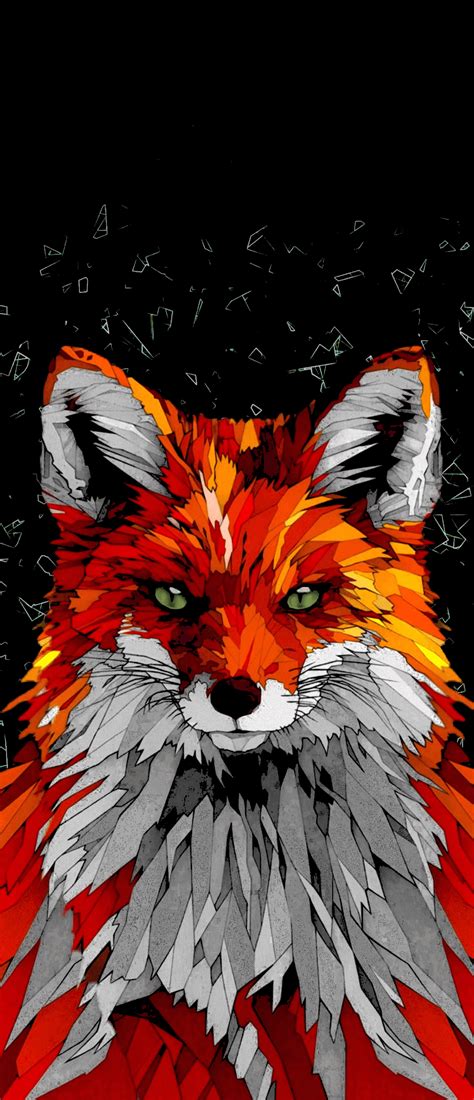 Black Fox Wallpapers - 4k, HD Black Fox Backgrounds on WallpaperBat