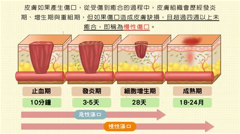 健樂師生醫股份有限公司