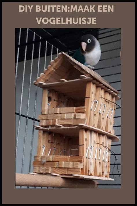 DIY Buiten Maak Een Vogelhuisje Vogelhuisje Decoratie Buiten