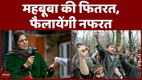 Breaking News Mehbooba Mufti को नापसंद Kashmir का विकास Jammu Kashmir Amit Shah Youtube