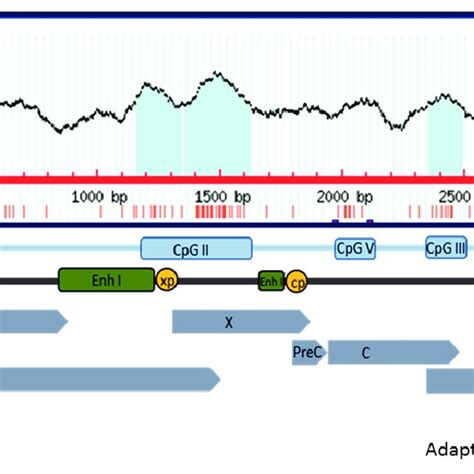 The Distribution Of Cpg Islands In A South African Hbv G Patient