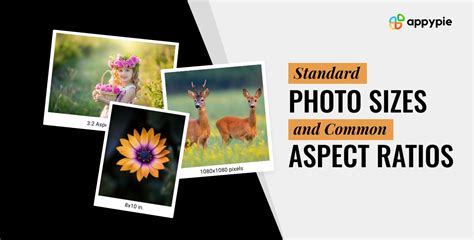 A Guide to Common Aspect Ratios, Image Sizes, and Photograph Sizes