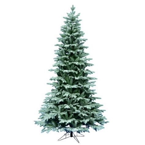 X Frosted Balsam Fir T Kroger