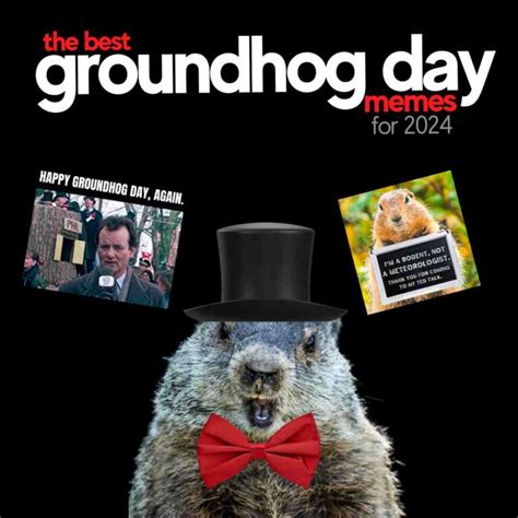 From Shadow To Sunshine Hilarious Groundhog Day 2024 Memes