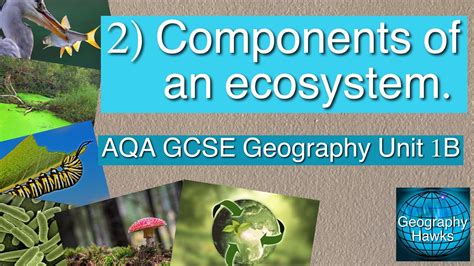 2 Components Of An Ecosystem AQA GCSE Geography Unit 1B YouTube