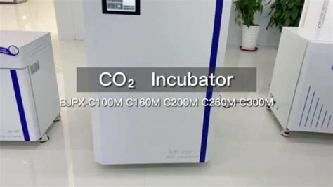 Biobase Tri Gas CO2 Incubator USB Port CO2 Incubator Automatic