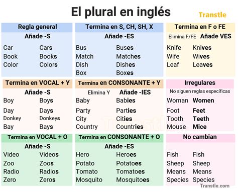 Plural En Ingl S Gu A Completa Reglas Ejemplos Y Ejercicios In