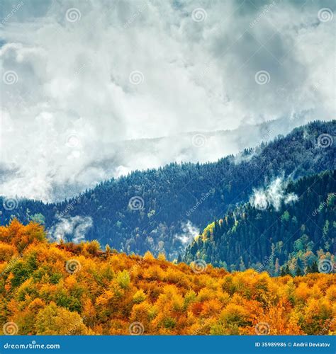 The Mountain Autumn Landscape Stock Photo Image Of Landscape Golden