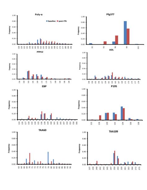 Comparison Of Allele Size And Composition Base Pairs X Axis And