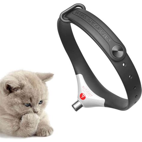 This Amusing Laser Light Cat Collar Keeps Your Cat Occupied For Hours