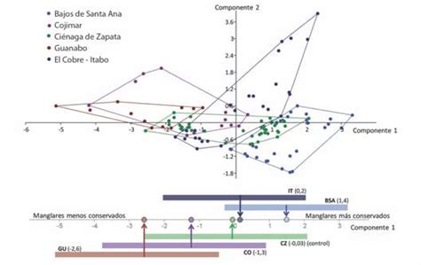 Variación espacio temporal de la respuesta espectral en manglares de La