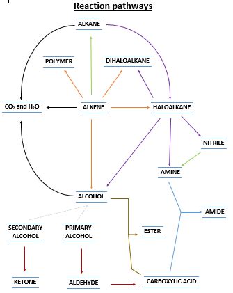 Organic Reaction Pathways Diagram