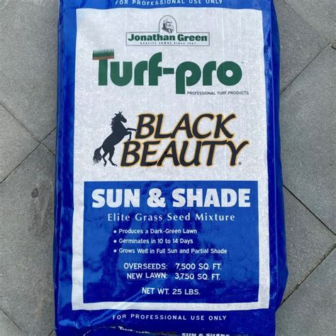 Black Beauty Tall Fescue Grass Seed Sun And Shade Mix Rt7