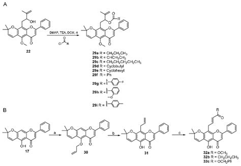 Scheme 4. (A) Synthesis of compounds 29a-29i. (B) Synthesis of ...