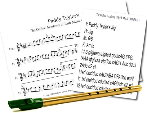 Master The Tin Whistle Technique Tin Whistle Ornamentation Oaim