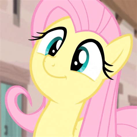 Download Tv Show My Little Pony Friendship Is Magic Pfp