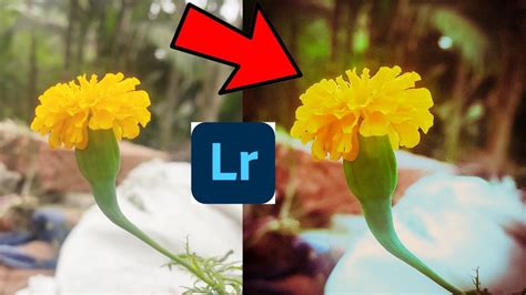 Flower Color Grading Lightroom Preset Editing Tutorial