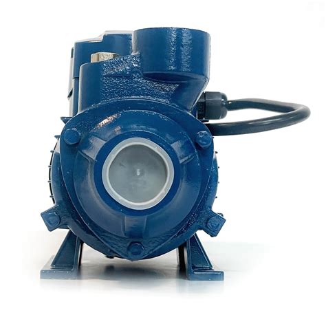 Snapklik 1hp 115v Peripheral Impeller Pump 190ft Lift 14gpm