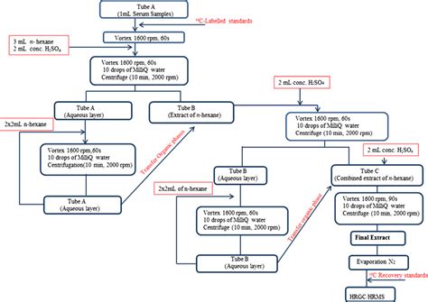 Scheme Of The Analytical Procedure Developed Download Scientific Diagram