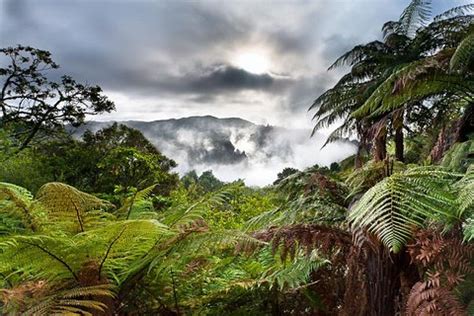 Volcanic Valley Self Guided Walking And Hiking At Waimangu Trip Canvas