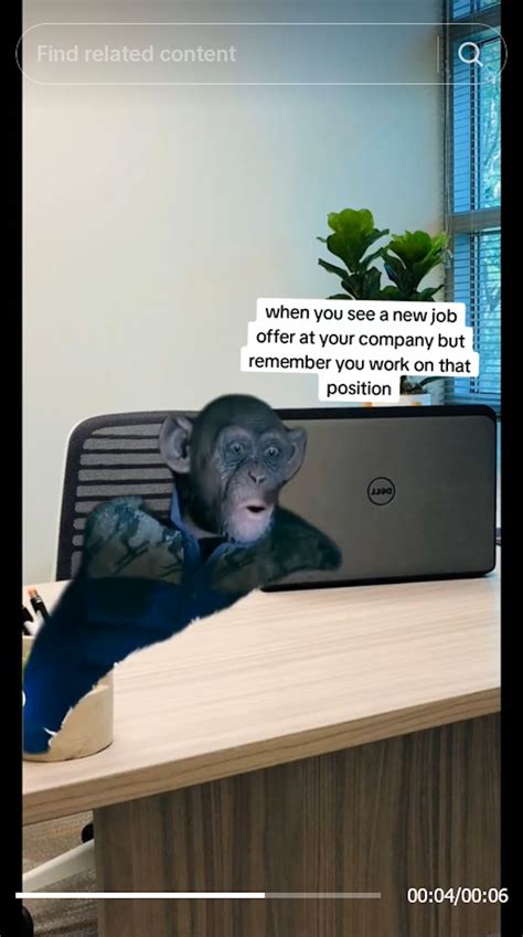 Oh No Monkey Meme From Planet Of The Apes