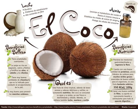 Los Beneficios Del Coco Infograf As Y Remedios