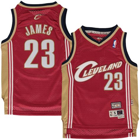 LeBron James Cleveland Cavaliers Mitchell & Ness Youth Hardwood ...