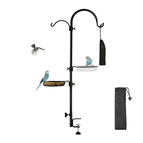 10 Best Raven Bird Baths For Your Garden Top Picks Hummingbirds Plus