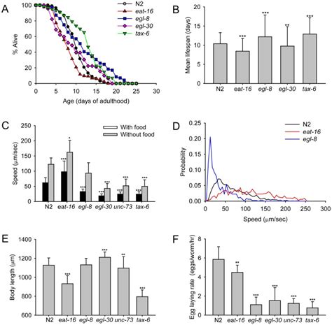 A Survival Curves The Results Are From Two Independent Experiments