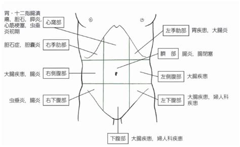 腹痛の部位で推測する病気 図と画像 救急救命士学習塾