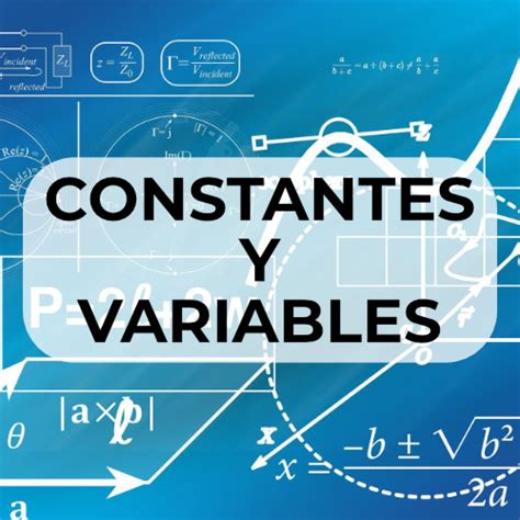 Constantes Y Variables Informática Polo